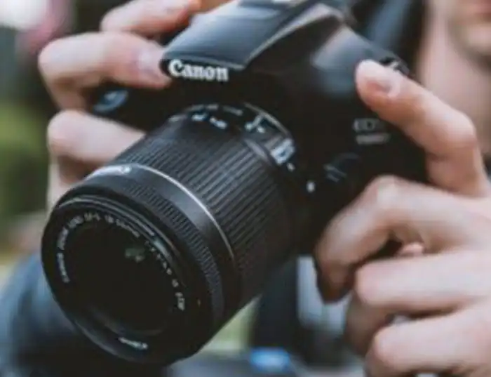 photographs